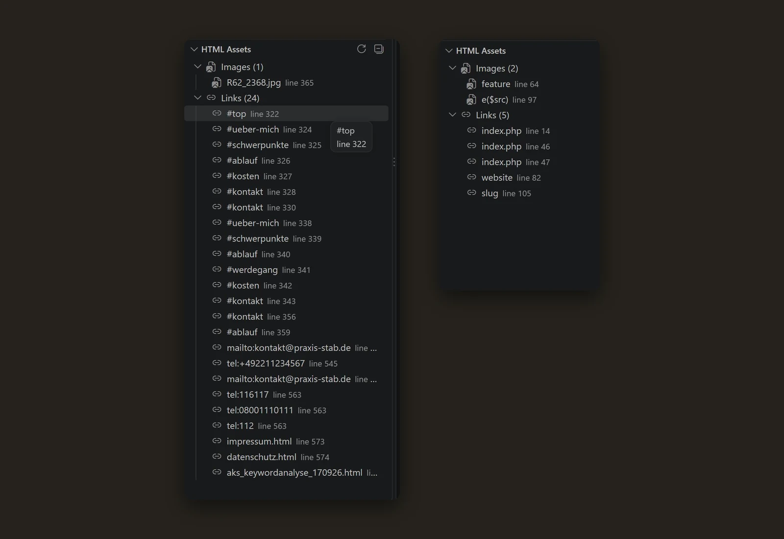 HTML Assets Panel — Visual 1