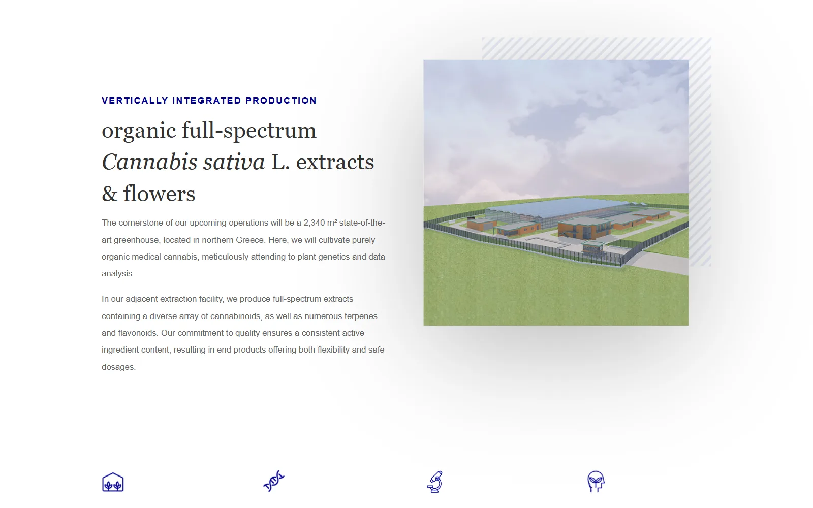 Terpenia — Visual 2
